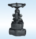 Class 600~2500 Pressure Seal Gate Valve